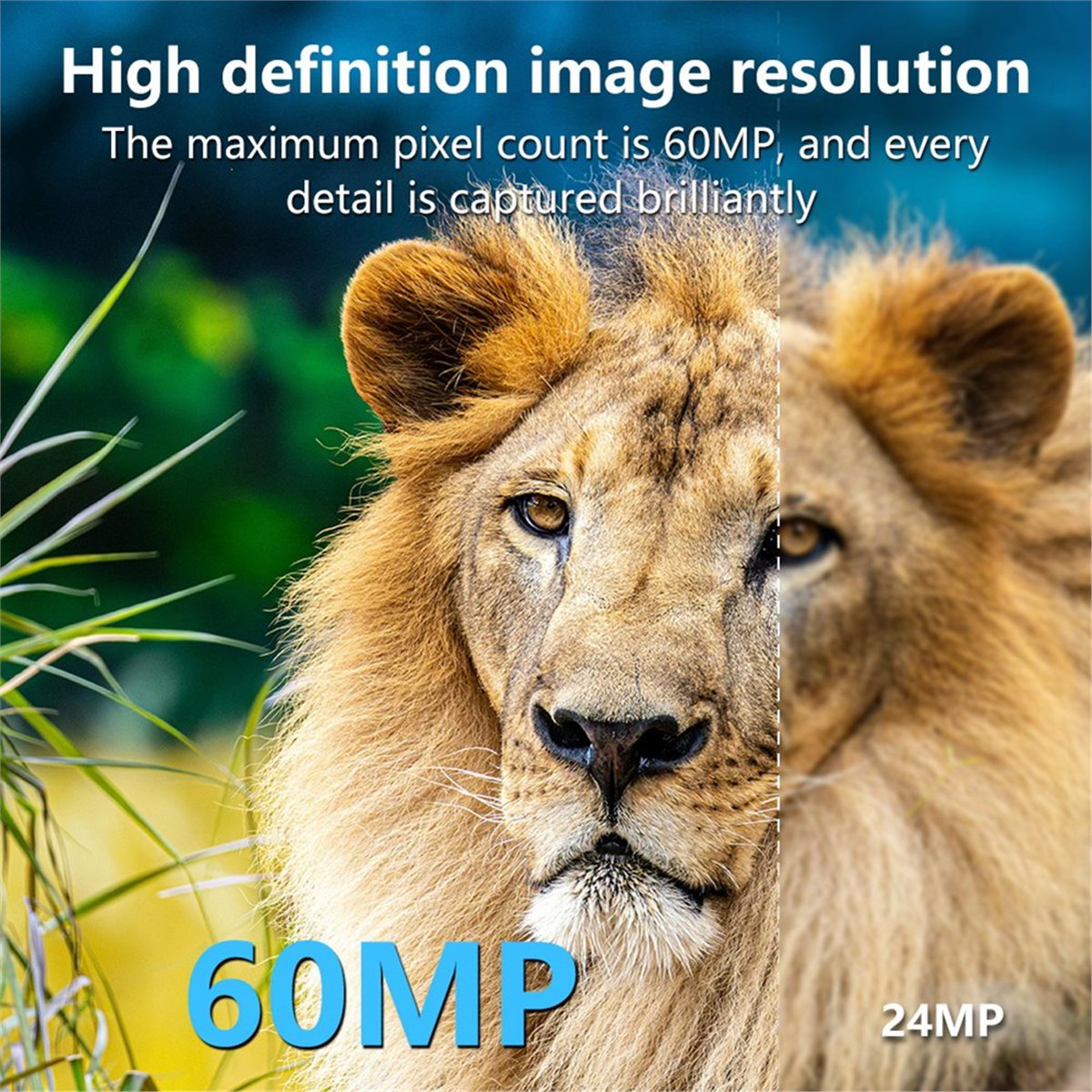 AS62 8K Jachtcamera HD Wildlif - Hunting Outdoor Rug recensie en prijs