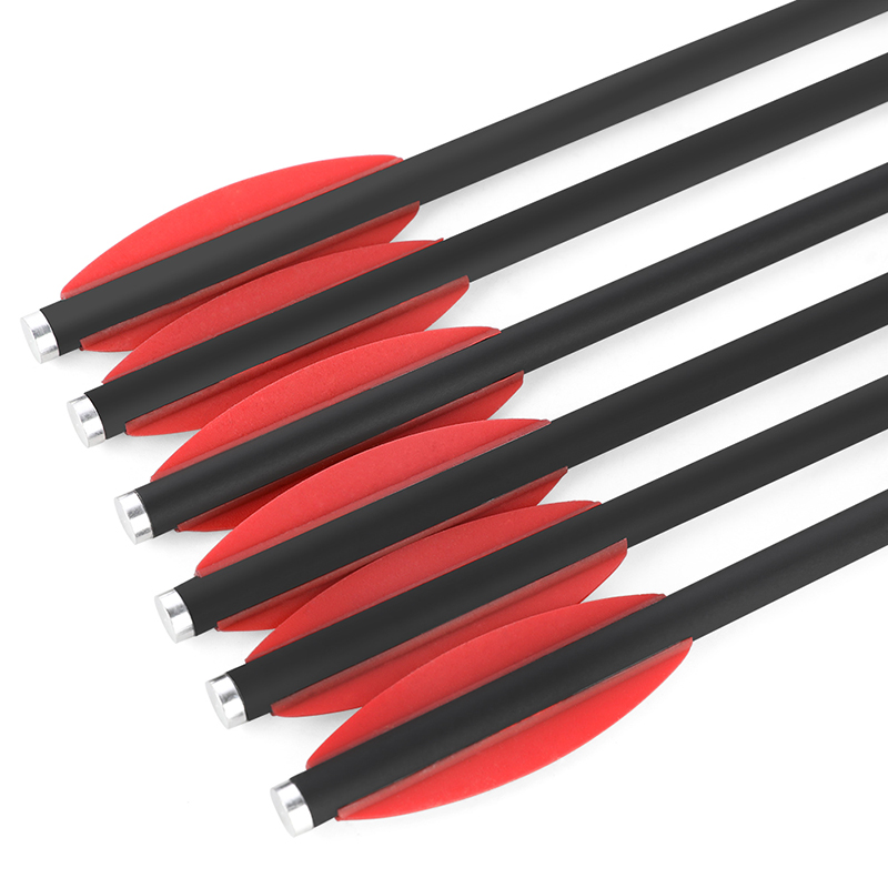 6/12 Stuks Gemengde Carbon Pij - Crossbow Bolt Broadhead recensie en prijs